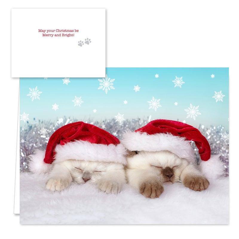 Canopy Street Christmas Cats Holiday Card Assortment Pack / 25 Seasonal Kitten Greeting Cards And Envelopes / 5 Sleeping Santa Animal Designs And Christmas Messages - Image 5